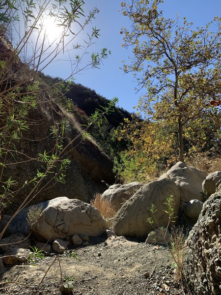 Boulders leading to Black Star Falls