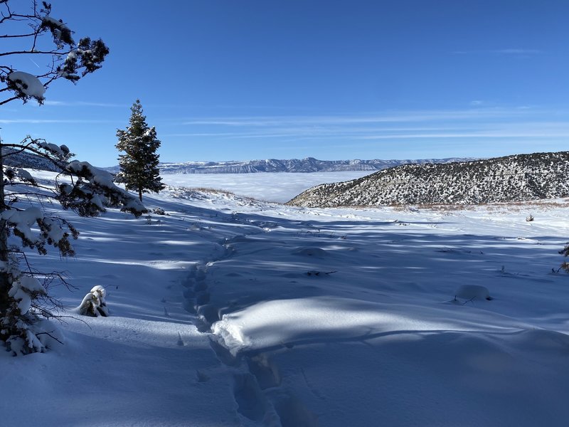 Ponderosa Trail