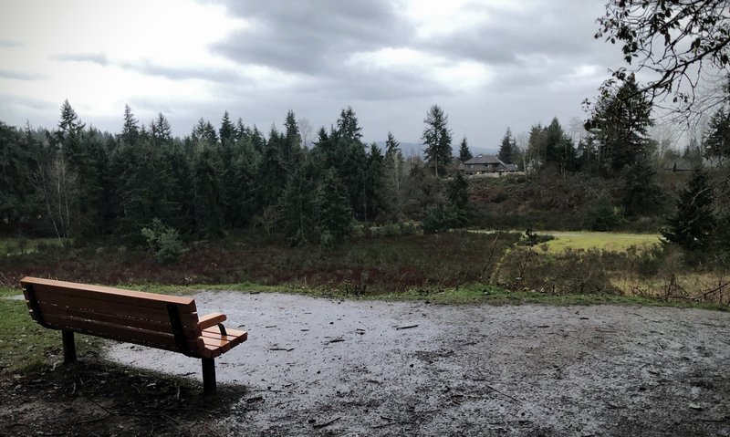 Bench over a valley in Watershed Park