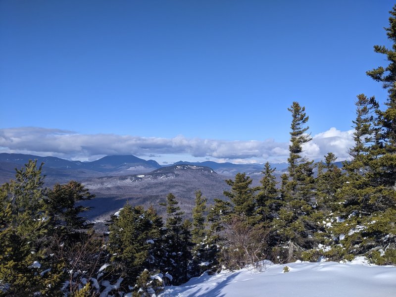 The Presidentials