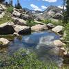 Great hike up to jack ass pass.