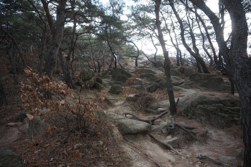 Bukhansan Traverse towards Jokduribong Peak.