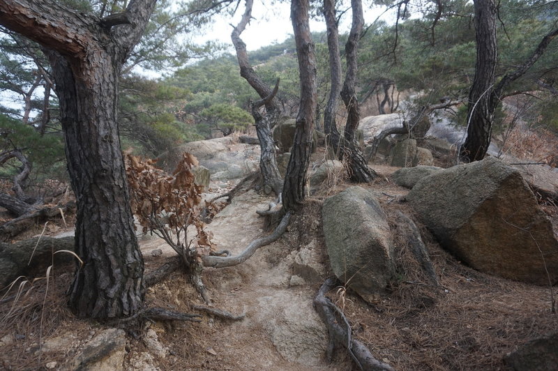 Bukhansan Traverse towards Jokduribong Peak