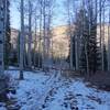 View towards trailhead of  Williams Trail