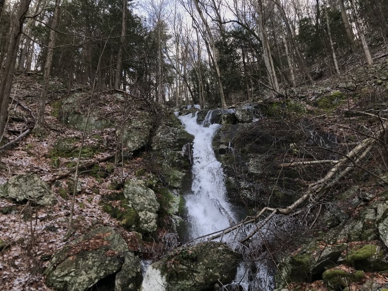 Robert Brook Falls