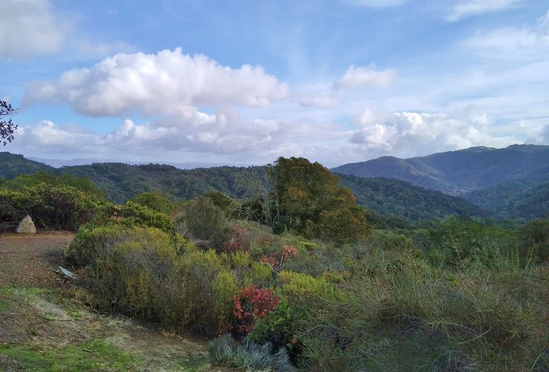 Nearby, are the forested ridges of the Santa Cruz Mountains. In the far distance (left) the ridgeline of the Diablo Range, on the other side of Santa Clara Valley, can be faintly seen. Winter is a beautiful time in these hills.