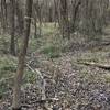 Southern entrance to Yellow Tape Trail from Kobs Trace. Note yellow blazes on trees.