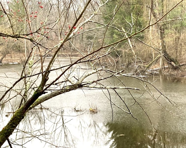 Wildlife blind and pond at Deer Haven off of Bent Tree Ridge Trail