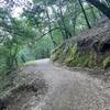 The trail climbs gently along the hillside.