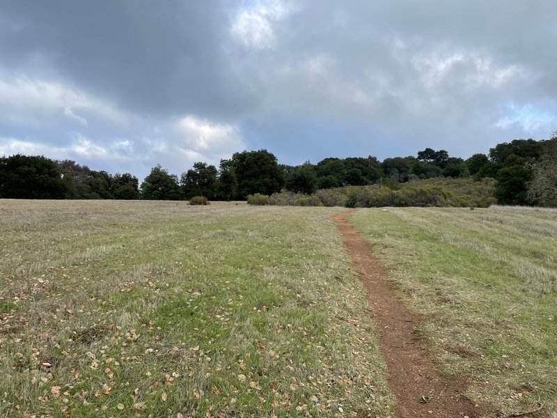 Meadow at the very top of the hike.