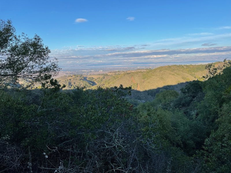 View of San Francisco Bay from near the top.