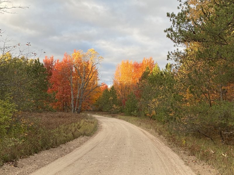 South Reynolds Road - Fall 2020