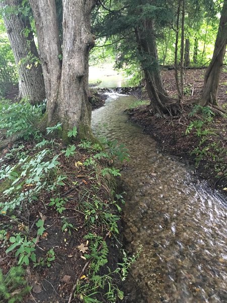 Head Waters of the Jordan River