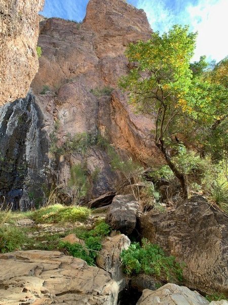 Cattail Falls area