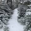 Snowy trail to Mt. Hale