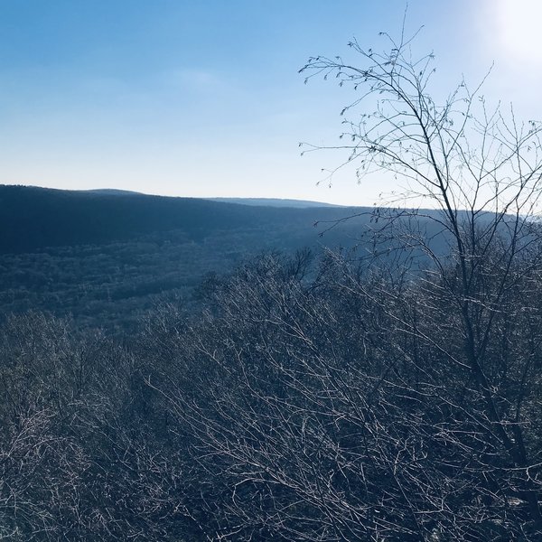 View from Skyline Trail.