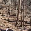 Switchbacks towards China Creek.