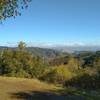 Nearby forested hills, and in the far distance to the east (right horizon) is the Diablo Range on the far side of Santa Clara Valley.  Seen along Old Mine Trail.