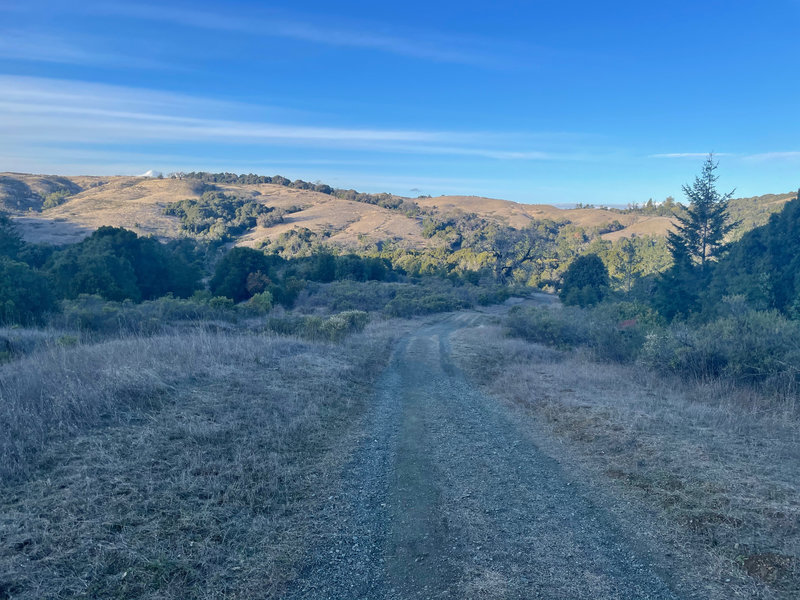 The Skid Road Trail descends down into Monte Bello Open Space Preserve.  The views going down the trail are very nice.