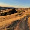 The Bella Vista Trail in the early evening as the sun starts to set.