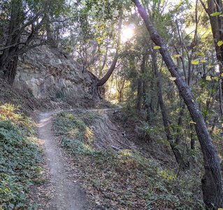 Enchanted Loop Hiking Trail Santa Cruz California