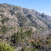 Sawtooth Ridge across the North Fork American River.