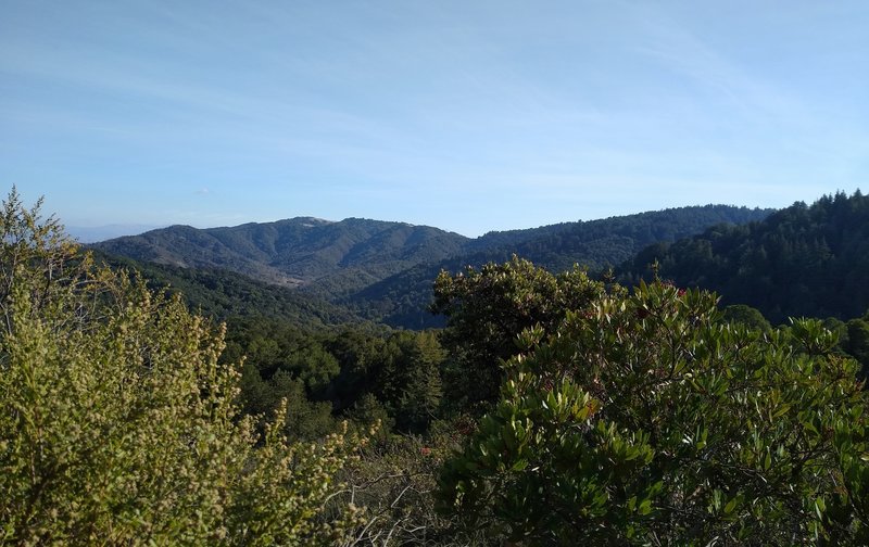 The Santa Cruz Mountains to the south, from high on Tie Camp Trail, on a clear New Year's Eve Day.