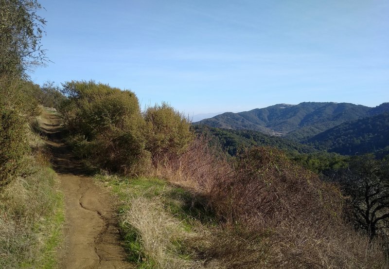 Tie Camp Trail climbs out of the forest into open brushy areas with great views.