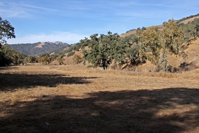 Walking along Hunting Hollow Trail in fall, heading back to the parking lot. The scenery is beautiful and wildlife is mostly native and diverse. It's a great trail for nature photography, especially in the early summer.