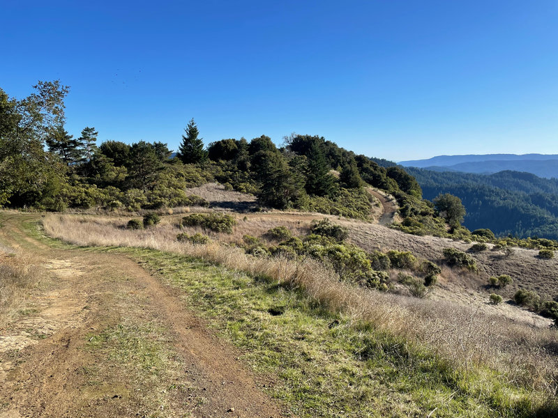 The trails as it starts to descend the hillside with the Santa Cruz mountains in the distance.