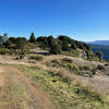 The trails as it starts to descend the hillside with the Santa Cruz mountains in the distance.