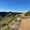 Looking along the ridge line toward Russian Ridge from the Butano View Trail.