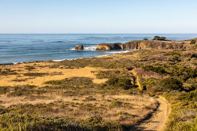 Headlands from Ridge Trail.
