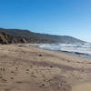 The beach just below Bluff Trail.