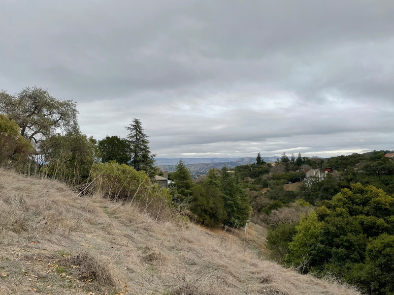 A view from the top of the Fire Road Trail. You can see parts of Silicon Valley and the surrounding hillsides from here.