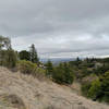 A view from the top of the Fire Road Trail. You can see parts of Silicon Valley and the surrounding hillsides from here.