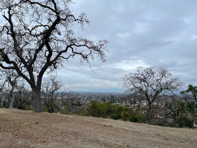 The view of the San Jose and the South Bay from the Ridge Trail. The trees along the ridge line provide nice shade in the spring and summer, and then lose their leaves in the Fall.