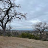 The view of the San Jose and the South Bay from the Ridge Trail. The trees along the ridge line provide nice shade in the spring and summer, and then lose their leaves in the Fall.