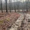 End of Sherman Gap trail to Panhandle Road.