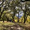 Aqua Caliente Trail - Ed Levin Park.