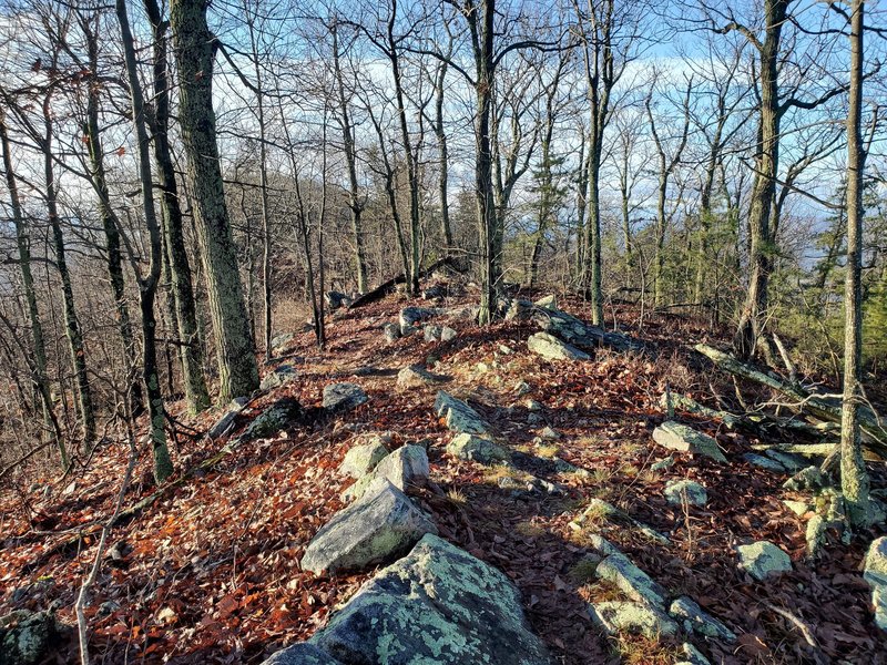 Ridgetop view - Shenandoah Valley to right, Fort Valley to left.