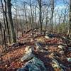 Ridgetop view - Shenandoah Valley to right, Fort Valley to left.