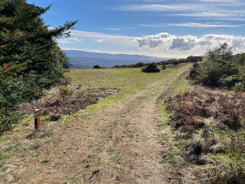 The trail emerges from the woods you can see for miles. The mountains and the ocean come into view, making it a great payoff for the hike.