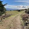 The trail emerges from the woods you can see for miles. The mountains and the ocean come into view, making it a great payoff for the hike.