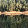 A great view of Paradise Lake from the trail, showing the forests that surround it.