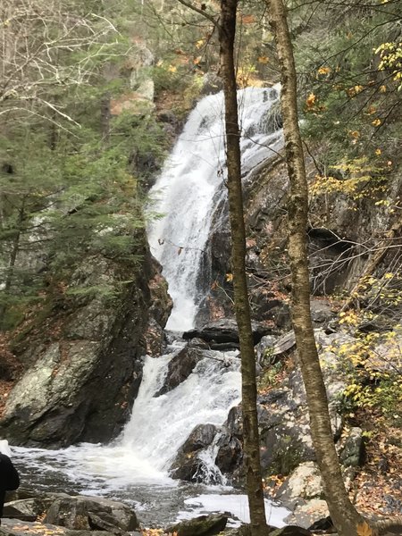 Campbell Falls