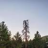 Sun set behind tree at Newlin Creek Trail/Florence Mountain Park; Oct 2019