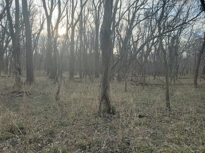 typical view on a winter day