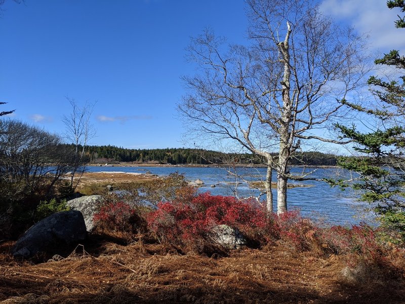 View of Basin