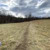 A flat area of grass on the trail.